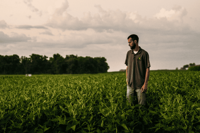 Corn